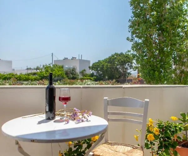 別荘 Apanemi Beachhouse Naxos City